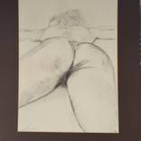 Collection Nudes