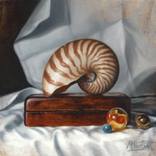 Nautilus Shell and Marbles by Matt Curtis
