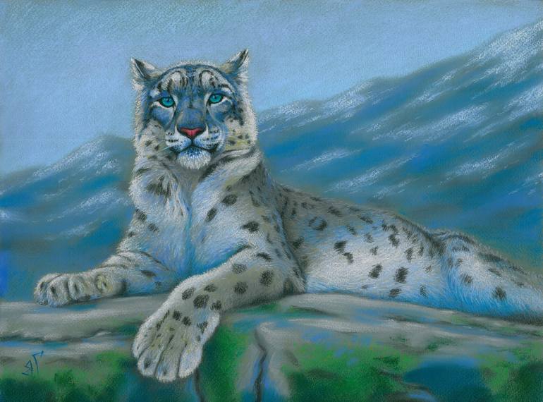 snow leopard sketch