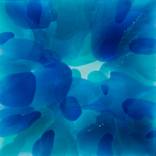Moments of Transparency by MARIA BACHA