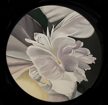 Original Floral Paintings by Barbara Stretti