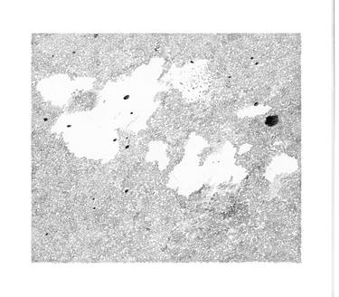 Mental topography #14 thumb