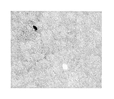 Mental topography #15 thumb