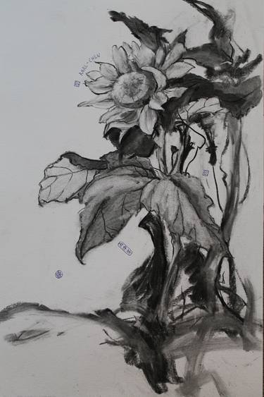 Original Fine Art Botanic Drawings by Bingbing Chen