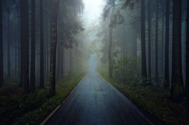 Fairytale Forest - Limited Edition 1 of 50 Photography by Stefan Dietze ...