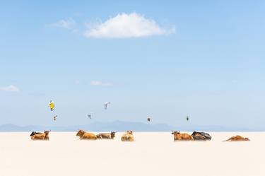 COWS AND KITES - Limited Edition of 20 thumb