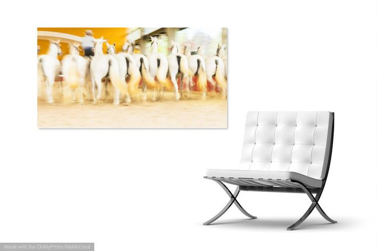 Original Other Animal Photography by Andrew Lever