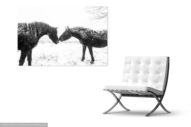 Original Fine Art Animal Photography by ANDREW LEVER