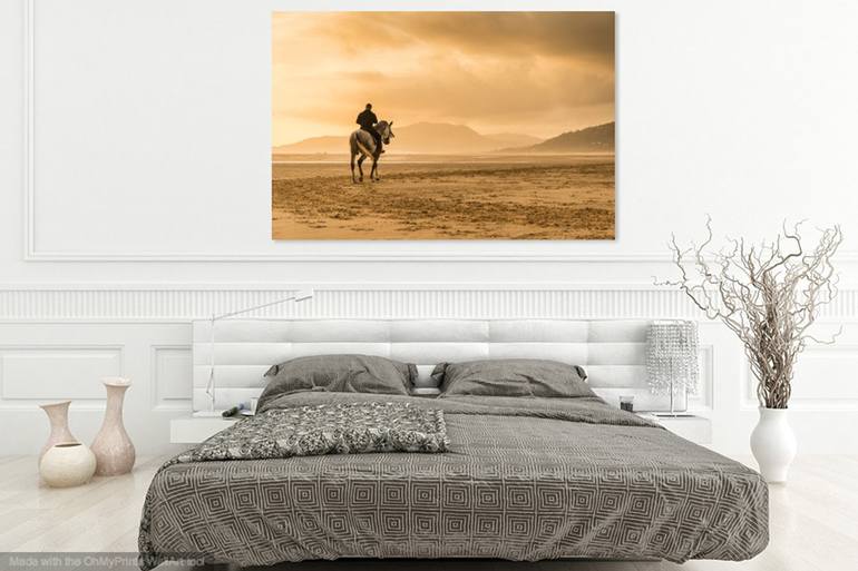 Original Figurative Animal Photography by Andrew Lever