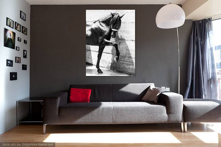 Original Documentary Animal Photography by Andrew Lever