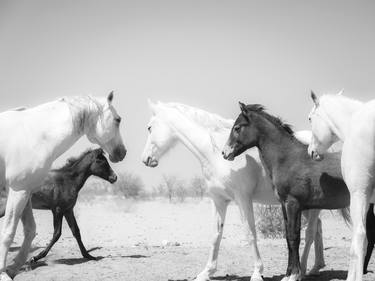 Original Fine Art Animal Photography by ANDREW LEVER