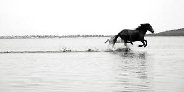 GALLOPING ON WATER - Limited Edition 2 of 35 thumb
