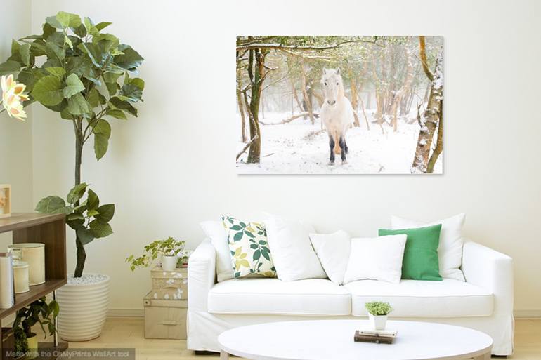 Original Other Animal Photography by Andrew Lever