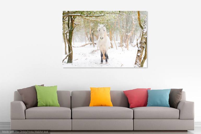 Original Other Animal Photography by Andrew Lever