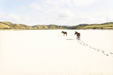 Original Fine Art Animal Photography by ANDREW LEVER