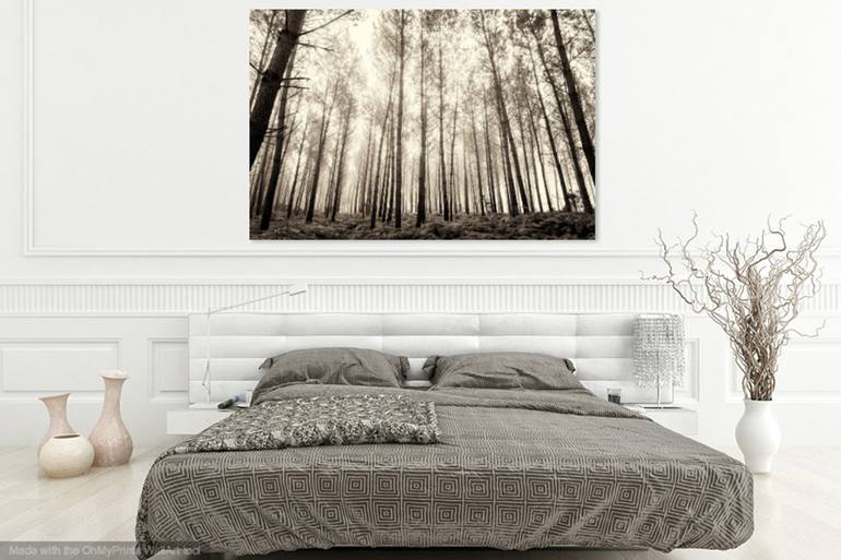 Original Fine Art Tree Photography by ANDREW LEVER