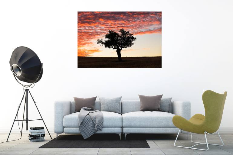 Original Abstract Expressionism Landscape Photography by Andrew Lever