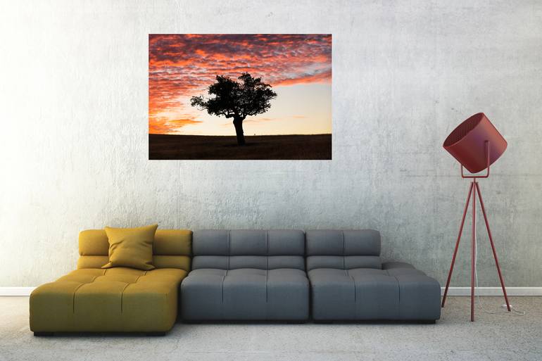 Original Abstract Expressionism Landscape Photography by Andrew Lever