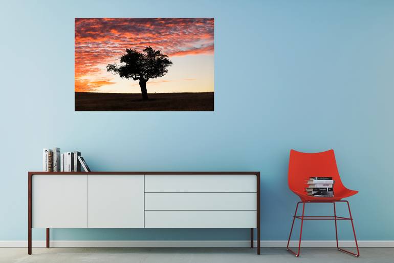Original Abstract Expressionism Landscape Photography by Andrew Lever