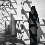 Shwari - Limited Edition of 10 by Annelies Damen
