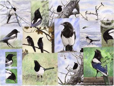 16 Variations of Magpie thumb