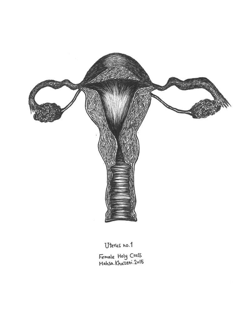 uterus drawing