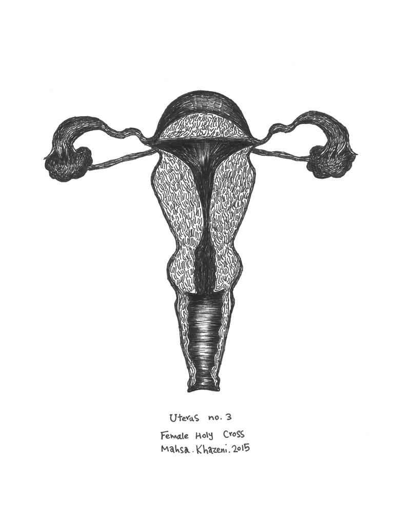 uterus drawing