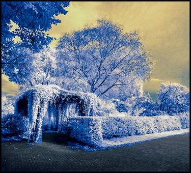 Parkscape in infrared thumb