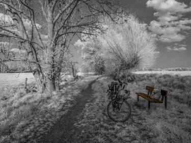 lonesome countryside with bench and bicycle thumb