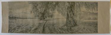 Original Landscape Printmaking by seyjo seyjo