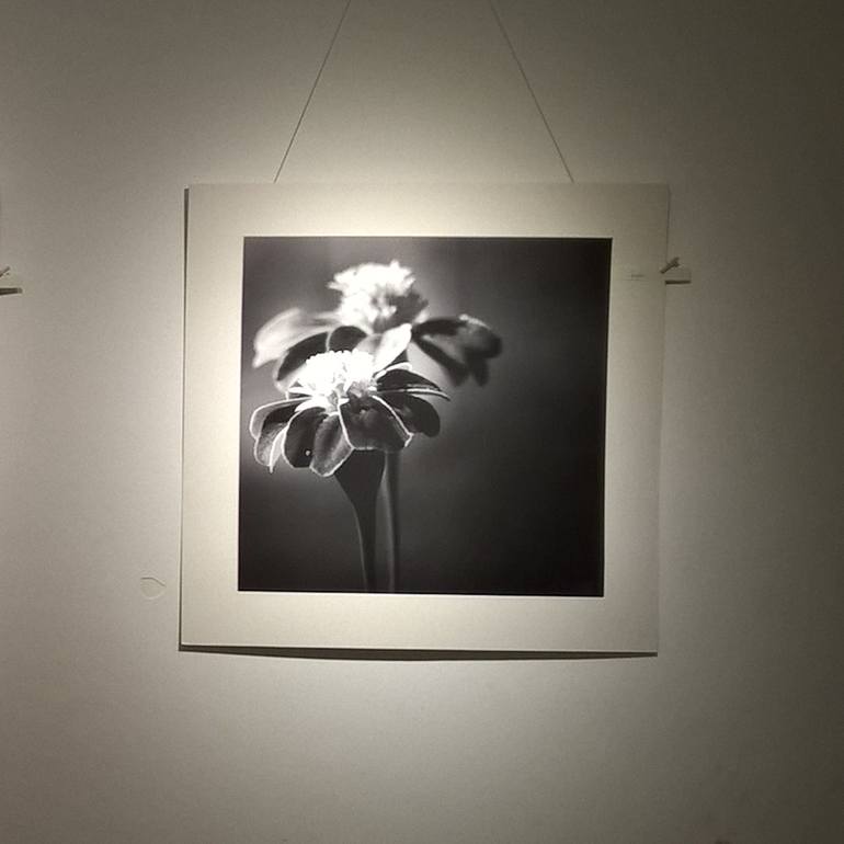 Original Black & White Floral Photography by Dev Banerjee