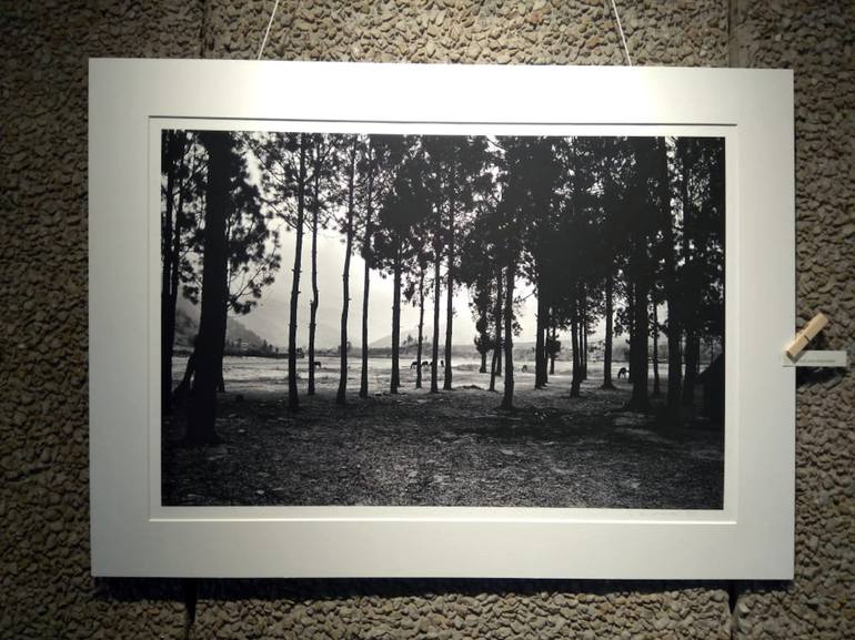 Original Fine Art Landscape Photography by Dev Banerjee