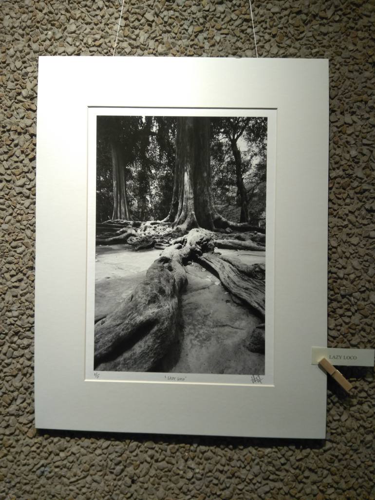 Original Abstract Landscape Photography by Dev Banerjee