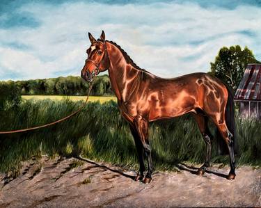 Canadian Stallion | Horse Portrait | Horse Painting thumb