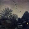 "Wild Geese II," 2012, oil on canvas, 24 x 18 inches.