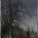 Collection Watercolors by Warren Criswell