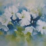Blue spring by Elena Oleniuc