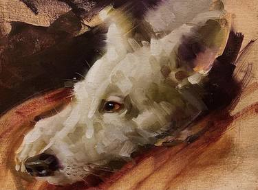 Original Dogs Paintings by Mostafa Keyhani