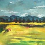 Rapsfelder in der Pfalz by Olga David