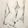 Collection Drawings of nudes