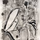 Collection B & W Line Drawings