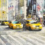 Collection New York City