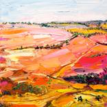 Collection Desert Landscapes