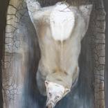 Incomer by Karen Dayan