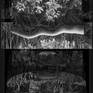 view additional image 1