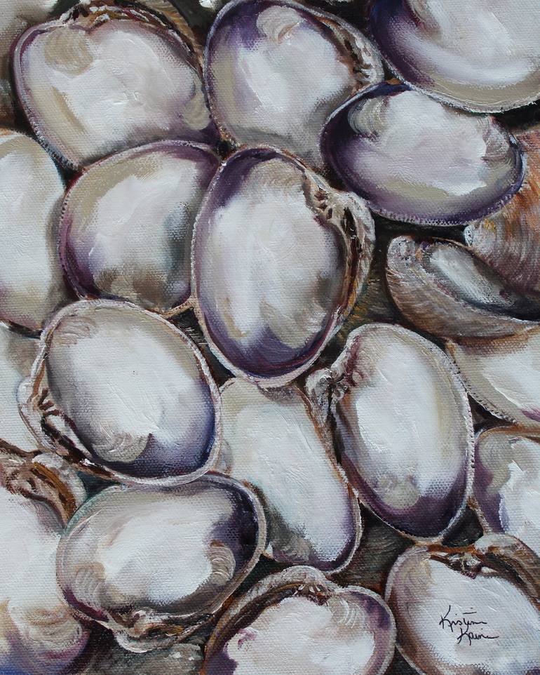 pictures of clam shells