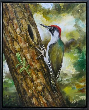 European Green Woodpecker I / Picus viridus I thumb