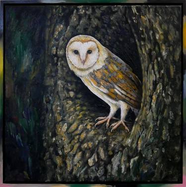 Barn owl VI / Tyto alba VI thumb