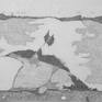 view additional image 1