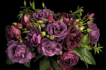Rhapsody in Blue & Burgandy Ice Roses - Limited Edition 1 of 50 thumb